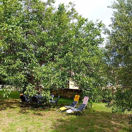 Joja Biograd Na Moru