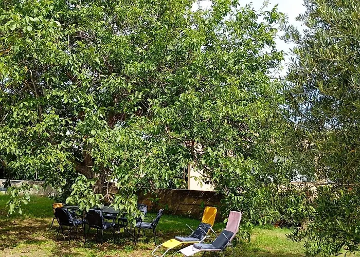 Joja Biograd na Moru