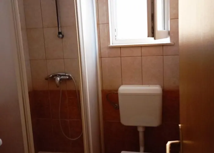 Joja Biograd na Moru