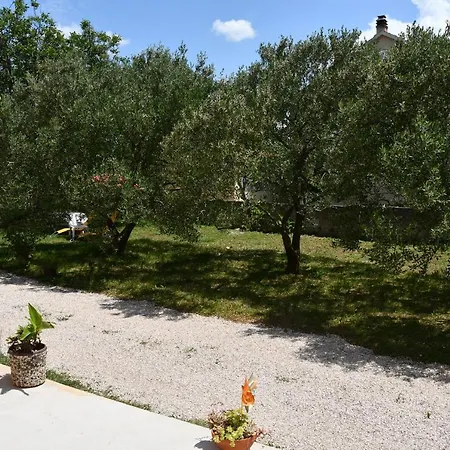 Apartamento Joja *