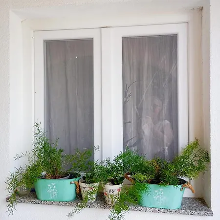 Joja Apartman